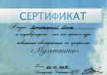 Москва. Студия Натальи Строкиной; Авторский курс 