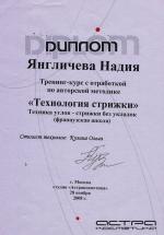 Москва. УЦ Астракосметика; Технология стрижки. 2008 год