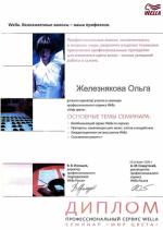 Москва. Студия Велла; Мир цвета. 2006 год