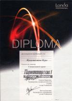 Москва. Студия Лонда; Специальный курс. 2009 год