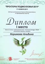 Москва. XIII Чемпионат по парикмахерскому искусству «Просторы Подмосковья»; «Классическая мужская стрижка с укладкой»- 1 место. 2019 год