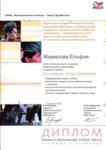 Москва. Студия Велла; Волосы в движении. 2005 год