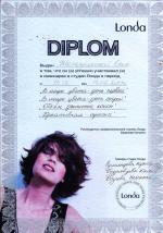 Москва. Студия Лонда; В мир цвета. 2004 год