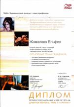 Москва.  Студия Велла; Уход за волосами. 2005 год