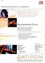 Москва. Студия Велла; Вечерние причёски. 2005 год