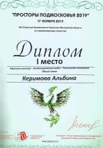 Москва. XIII Чемпионат по парикмахерскому искусству «Просторы Подмосковья»; Техническая категория – Мужские мастера – Общий зачет - 1 место. 2019 год