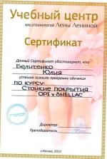 г.Москва. Учебный центр Nailoтехнологий Лены Лениной; Стойкие покрытия OPI и SHELLAC. 2012г.