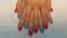 Маникюр с покрытием шеллак 1100руб. Маникюр женский (без покрытия), Покрытие ногтей "ШЕЛЛАК",