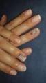  Маникюр женский (без покрытия), Покрытие ногтей "ШЕЛЛАК" (Френч), Дизайн  ногтей  «EMPASTA™ E.Mi»    (1 ноготь)             ,