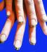  Коррекция наращенных ногтей (более 3 мм отросшего ногтя) 70 % от стоимости наращивания,